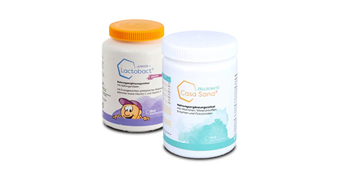Immunsystem