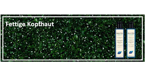 04 Fettige Kopfhaut