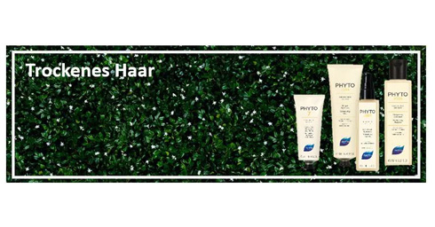 08 Trockenes Haar