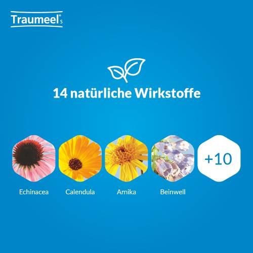 TRAUMEEL S Creme TRAUMEEL S Creme