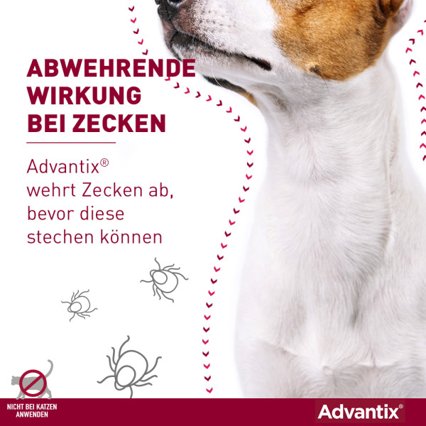 ADVANTIX Spot-on Lsg.z.Auftr.a.d.H.f.Hund bis 4 kg ADVANTIX Spot-on Lsg.z.Auftr.a.d.H.f.Hund bis 4 kg