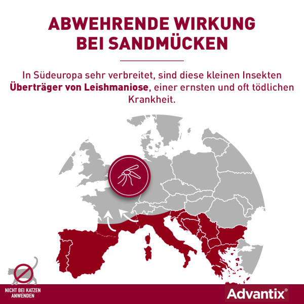 ADVANTIX Spot-on Lsg.z.Auftr.a.d.H.f.Hund bis 4 kg ADVANTIX Spot-on Lsg.z.Auftr.a.d.H.f.Hund bis 4 kg
