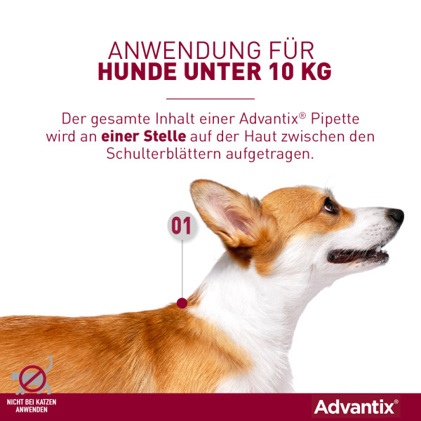 ADVANTIX Spot-on Lsg.z.Auftr.a.d.H.f.Hund bis 4 kg ADVANTIX Spot-on Lsg.z.Auftr.a.d.H.f.Hund bis 4 kg