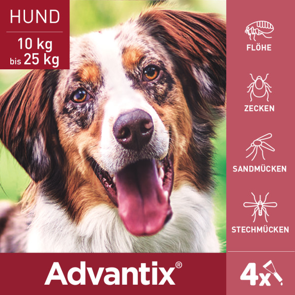 ADVANTIX Spot-on Lsg.z.Auftr.a.d.H.f.Hund 10-25 kg ADVANTIX Spot-on Lsg.z.Auftr.a.d.H.f.Hund 10-25 kg