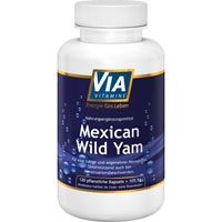 VIAVITAMINE Mexican wild Yam Kapseln VIAVITAMINE Mexican wild Yam Kapseln