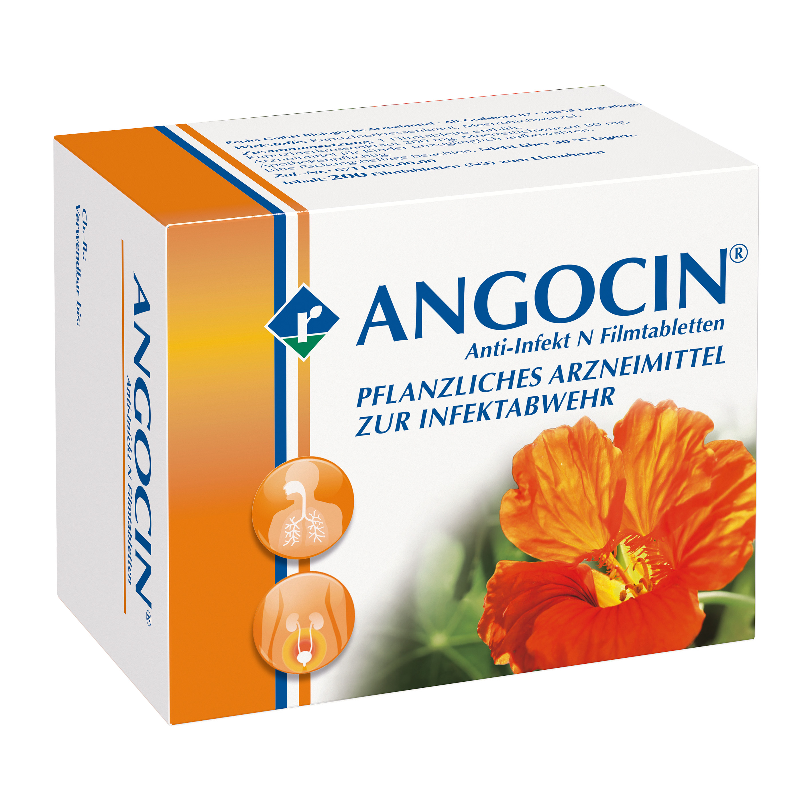 ANGOCIN Anti Infekt N