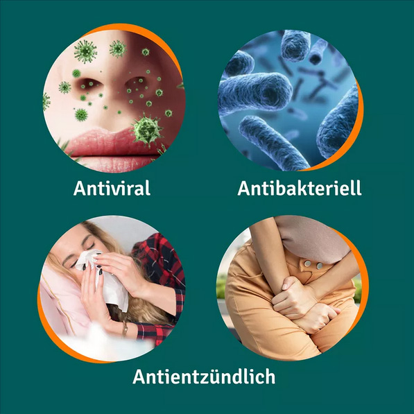ANGOCIN Anti Infekt N ANGOCIN Anti Infekt N