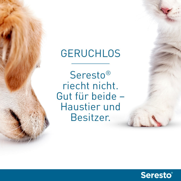 SERESTO Halsband f.Katzen SERESTO Halsband f.Katzen