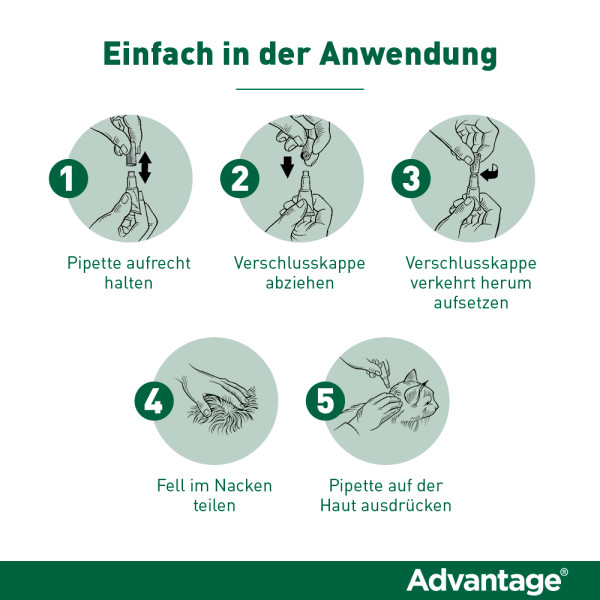 ADVANTAGE 80 mg f.gr.Katzen u.gr.Zierkaninchen ADVANTAGE 80 mg f.gr.Katzen u.gr.Zierkaninchen