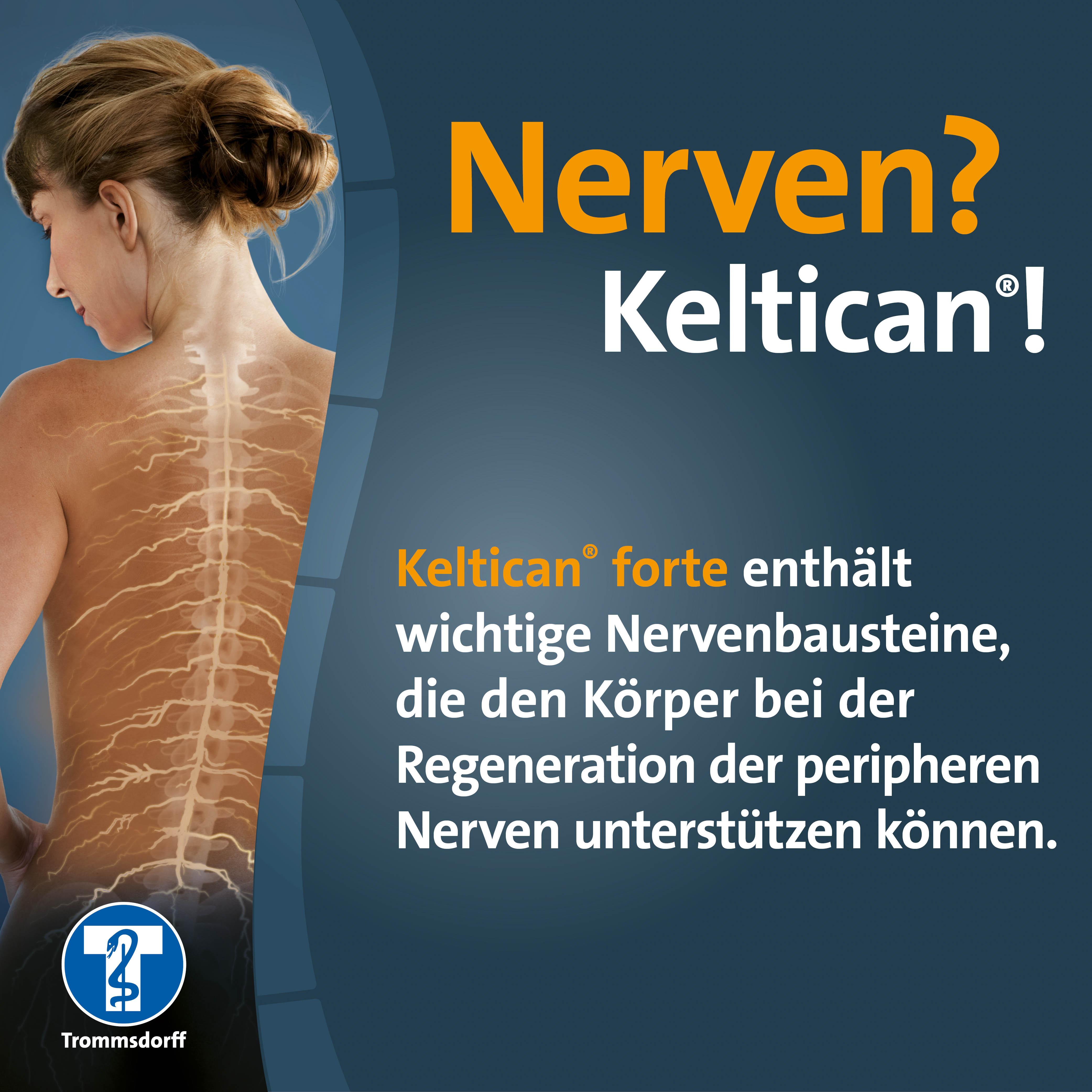 KELTICAN forte Kapseln KELTICAN forte Kapseln