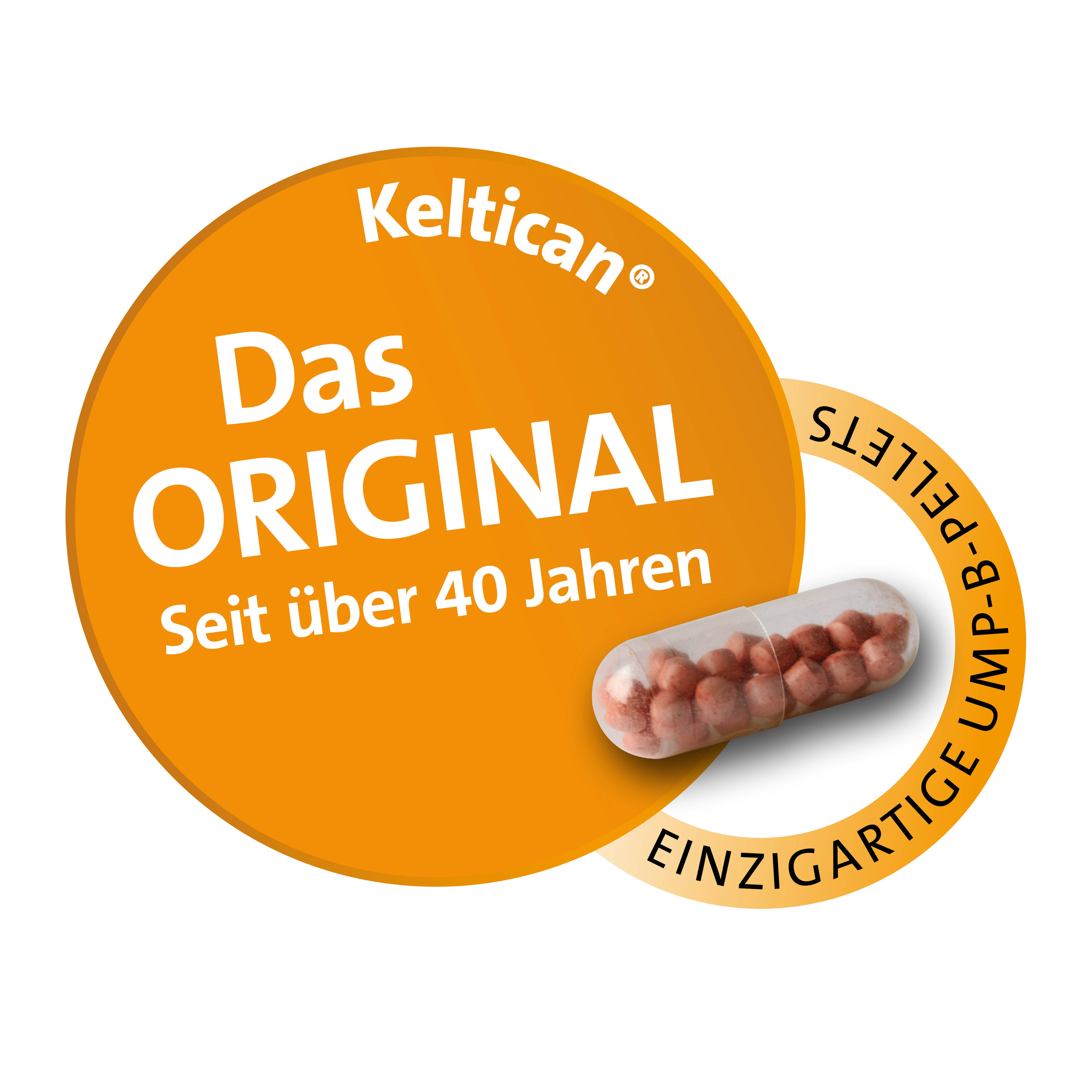 KELTICAN forte Kapseln KELTICAN forte Kapseln