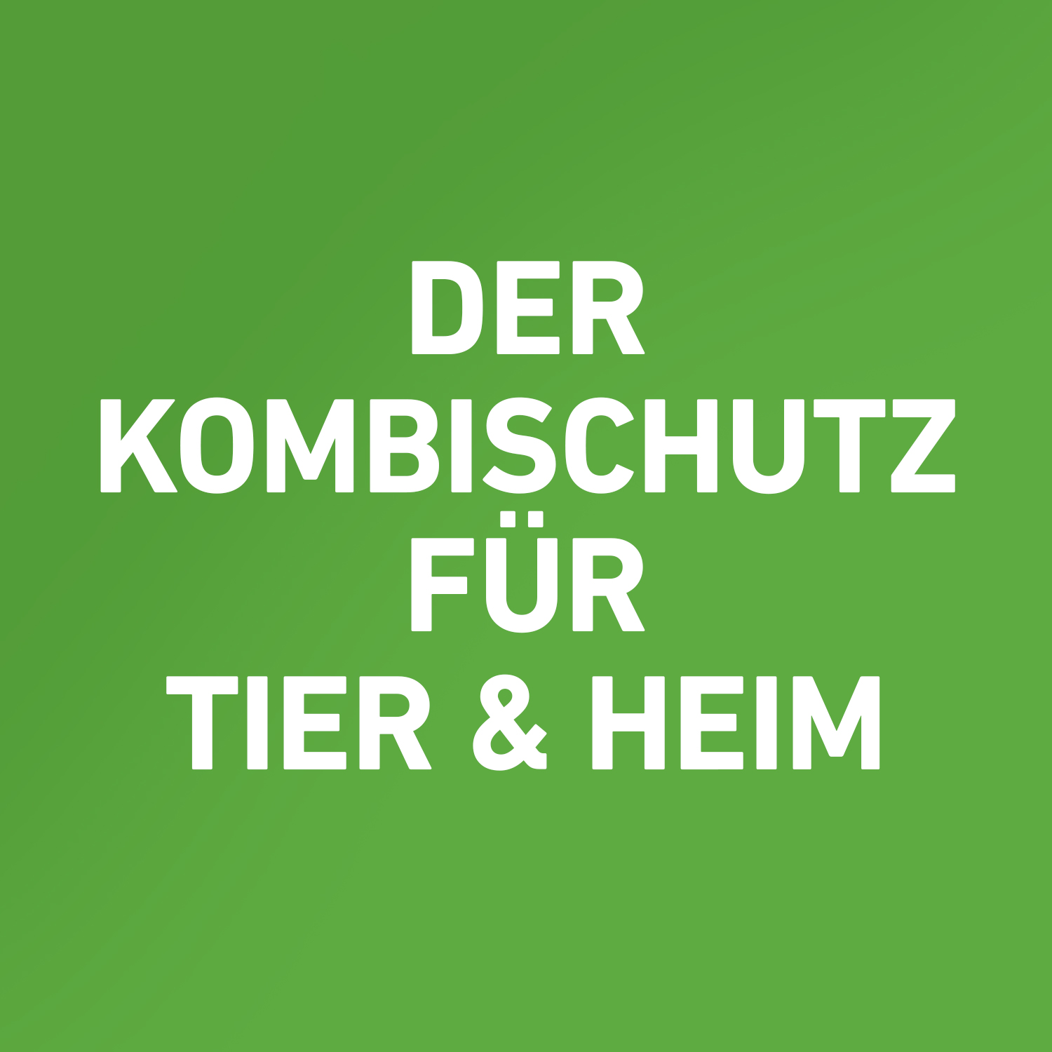 FRONTLINE COMBO® der Kombischutz für Tier und Heim gegen Zecken, Flöhe und Haarlinge bei Katzen und Frettchen FRONTLINE COMBO® der Kombischutz für Tier und Heim gegen Zecken, Flöhe und Haarlinge bei Katzen und Frettchen