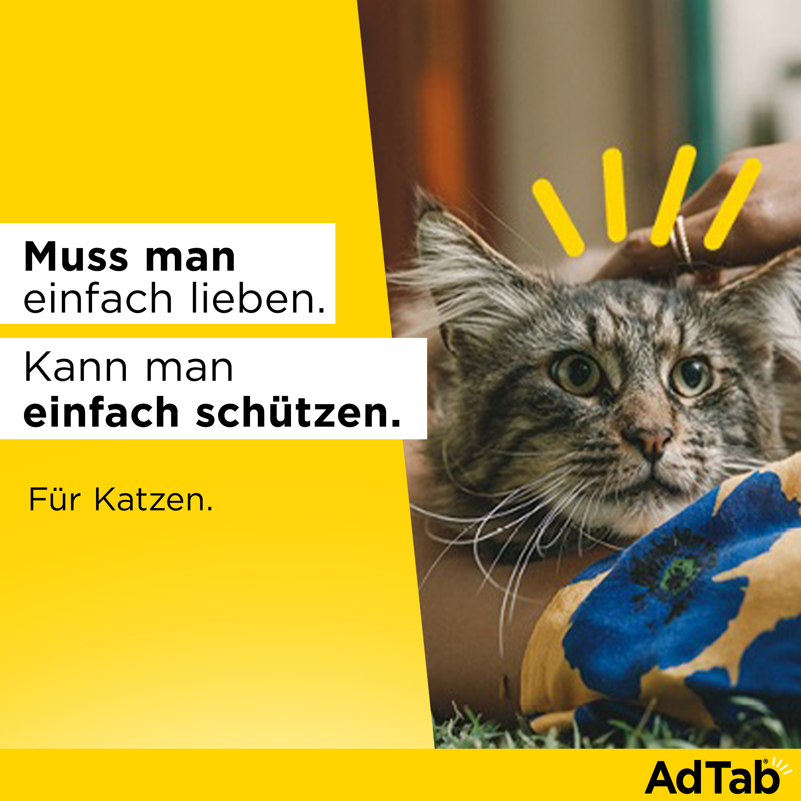 ADTAB 48 mg Kautabletten für Katzen >2-8 kg ADTAB 48 mg Kautabletten für Katzen >2-8 kg
