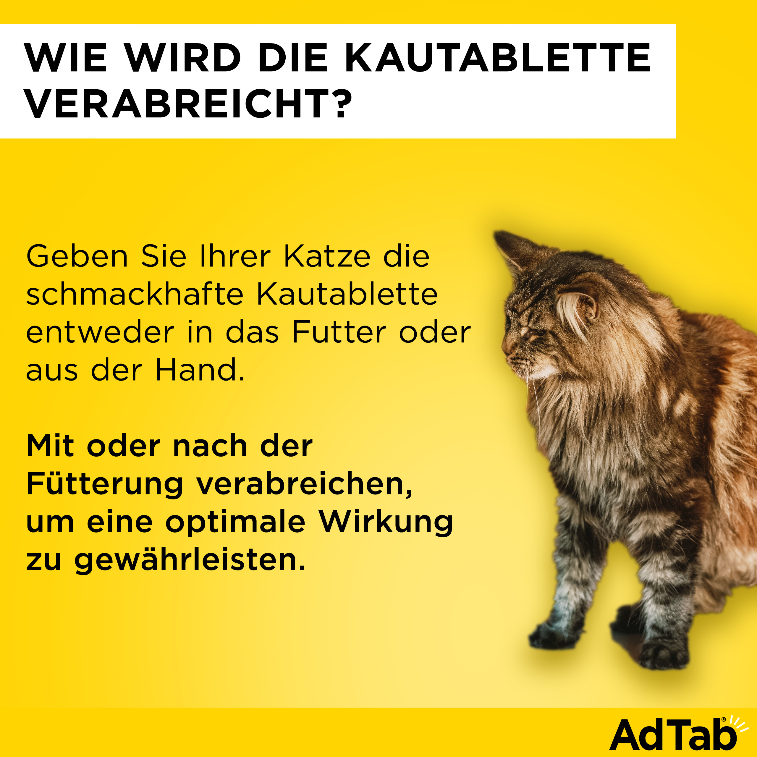 ADTAB 48 mg Kautabletten für Katzen >2-8 kg ADTAB 48 mg Kautabletten für Katzen >2-8 kg