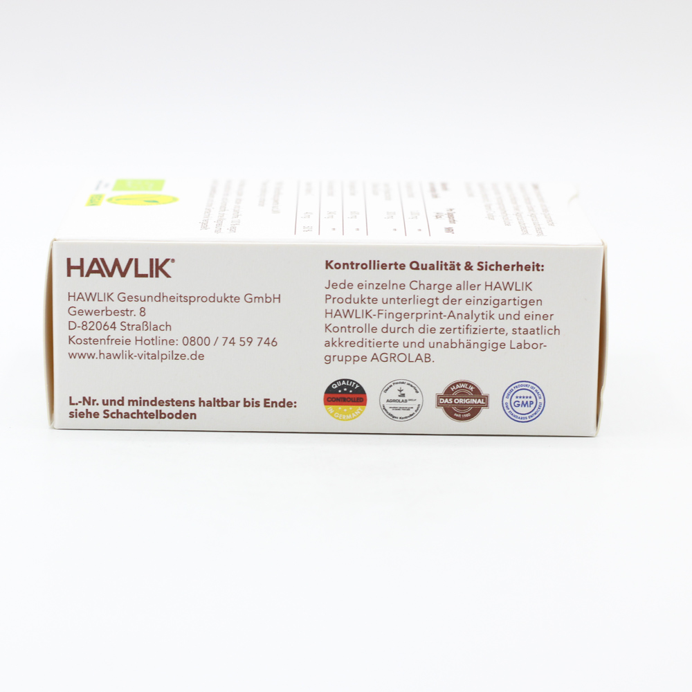 BIO AGARICUS Extrakt+Pulver Kapseln BIO AGARICUS Extrakt+Pulver Kapseln