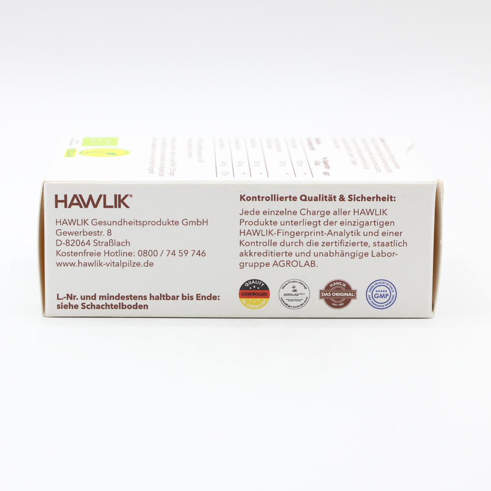 BIO REISHI Extrakt+Pulver Kapseln BIO REISHI Extrakt+Pulver Kapseln