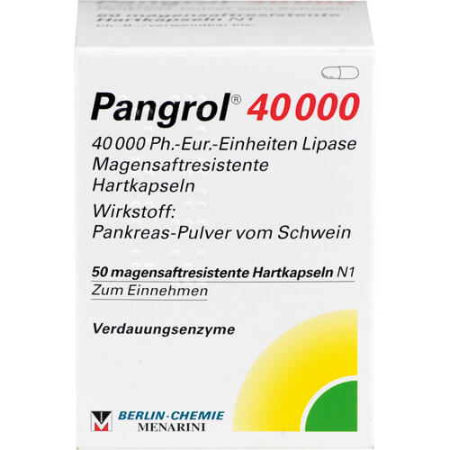 PANGROL 40.000 Hartkps.m.magensaftr.überz.Pell. PANGROL 40.000 Hartkps.m.magensaftr.überz.Pell.