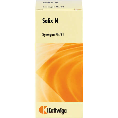 SYNERGON KOMPLEX 91 Salix N Tropfen SYNERGON KOMPLEX 91 Salix N Tropfen