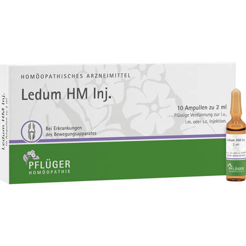 LEDUM HM Injekt Ampullen LEDUM HM Injekt Ampullen