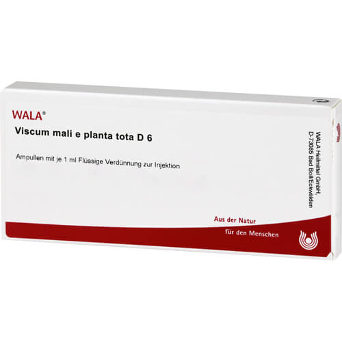 VISCUM MALI e planta tota D 6 Ampullen VISCUM MALI e planta tota D 6 Ampullen