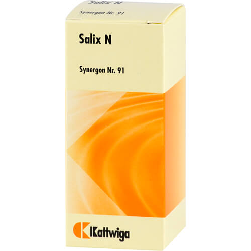 SYNERGON KOMPLEX 91 Salix N Tropfen SYNERGON KOMPLEX 91 Salix N Tropfen