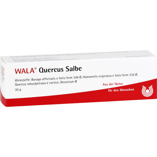 QUERCUS SALBE QUERCUS SALBE