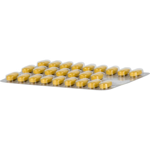 TEBONIN intens 120 mg Filmtabletten TEBONIN intens 120 mg Filmtabletten