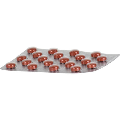 GINKOBIL-ratiopharm 80 mg Filmtabletten GINKOBIL-ratiopharm 80 mg Filmtabletten