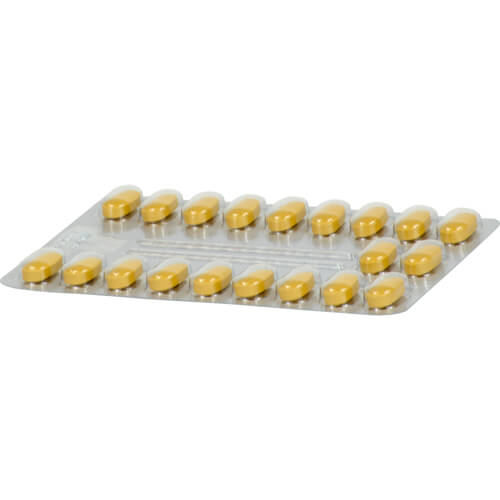 TEBONIN intens 120 mg Filmtabletten TEBONIN intens 120 mg Filmtabletten