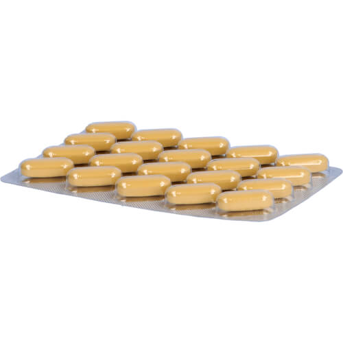 NEUROPLANT aktiv Filmtabletten NEUROPLANT aktiv Filmtabletten