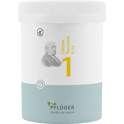 BIOCHEMIE Pflüger 1 Calcium fluoratum D 12 Tabl. BIOCHEMIE Pflüger 1 Calcium fluoratum D 12 Tabl.