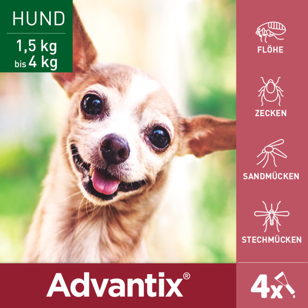ADVANTIX Spot-on Lsg.z.Auftr.a.d.H.f.Hund bis 4 kg ADVANTIX Spot-on Lsg.z.Auftr.a.d.H.f.Hund bis 4 kg