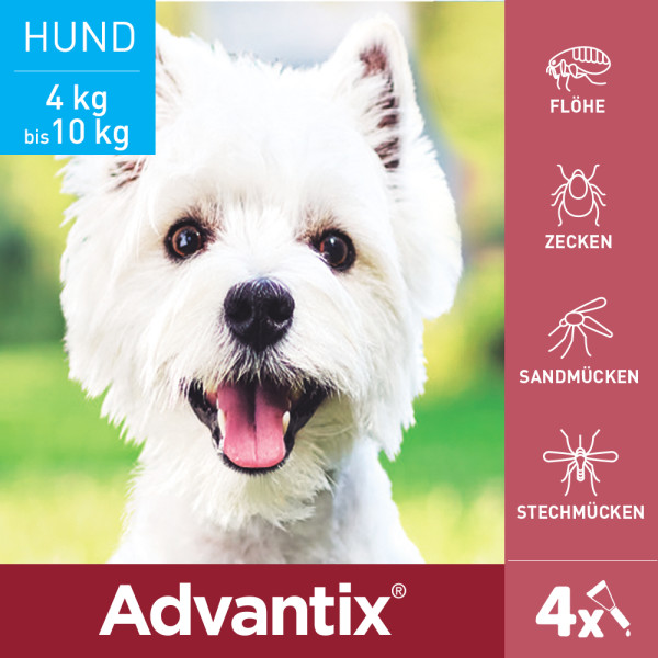 ADVANTIX Spot-on Lsg.z.Auftr.a.d.H.f.Hund 4-10 kg ADVANTIX Spot-on Lsg.z.Auftr.a.d.H.f.Hund 4-10 kg