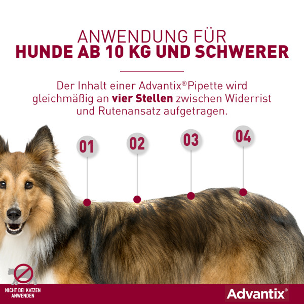 ADVANTIX Spot-on Lsg.z.Auftr.a.d.H.f.Hund 10-25 kg ADVANTIX Spot-on Lsg.z.Auftr.a.d.H.f.Hund 10-25 kg