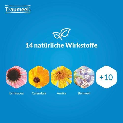 TRAUMEEL S Tropfen TRAUMEEL S Tropfen