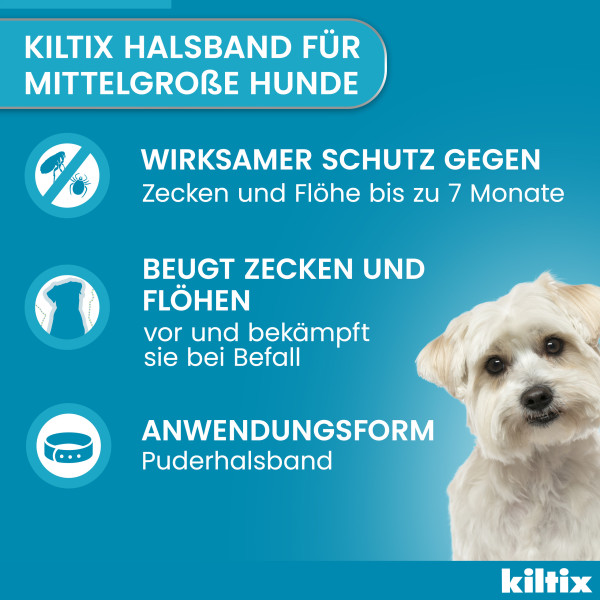 KILTIX Halsband f.mittelgroße Hunde KILTIX Halsband f.mittelgroße Hunde