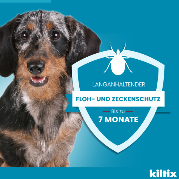 KILTIX Halsband f.mittelgroße Hunde KILTIX Halsband f.mittelgroße Hunde
