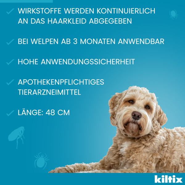 KILTIX Halsband f.mittelgroße Hunde KILTIX Halsband f.mittelgroße Hunde