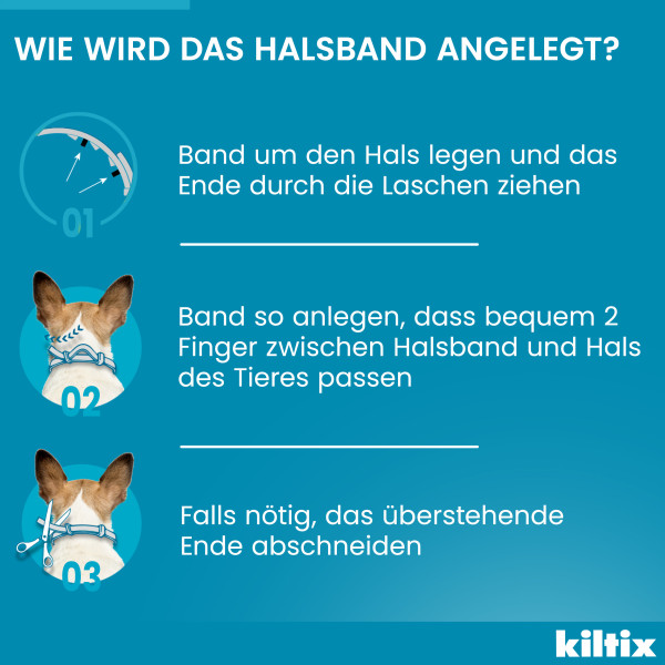 KILTIX Halsband f.mittelgroße Hunde KILTIX Halsband f.mittelgroße Hunde