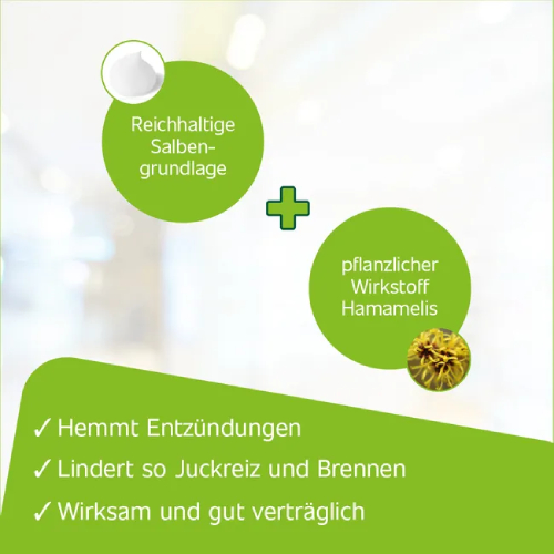 HAMETUM Hämorrhoiden Salbe HAMETUM Hämorrhoiden Salbe