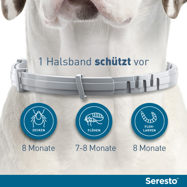 SERESTO 4,50g + 2,03g Halsband für Hunde ab 8kg SERESTO 4,50g + 2,03g Halsband für Hunde ab 8kg