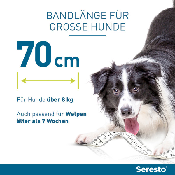 SERESTO 4,50g + 2,03g Halsband für Hunde ab 8kg SERESTO 4,50g + 2,03g Halsband für Hunde ab 8kg