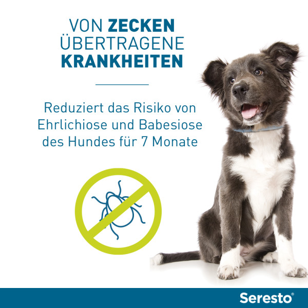 SERESTO 4,50g + 2,03g Halsband für Hunde ab 8kg SERESTO 4,50g + 2,03g Halsband für Hunde ab 8kg