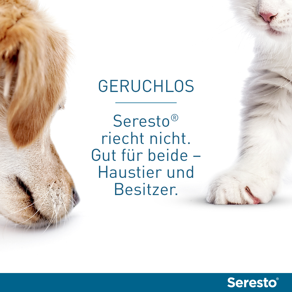 SERESTO 4,50g + 2,03g Halsband für Hunde ab 8kg SERESTO 4,50g + 2,03g Halsband für Hunde ab 8kg