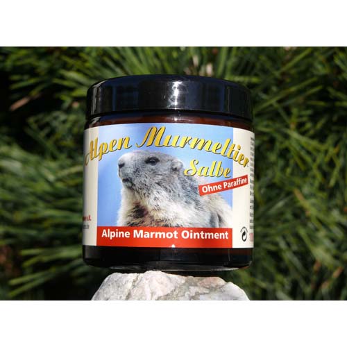 ALPEN MURMELTIER Salbe ALPEN MURMELTIER Salbe