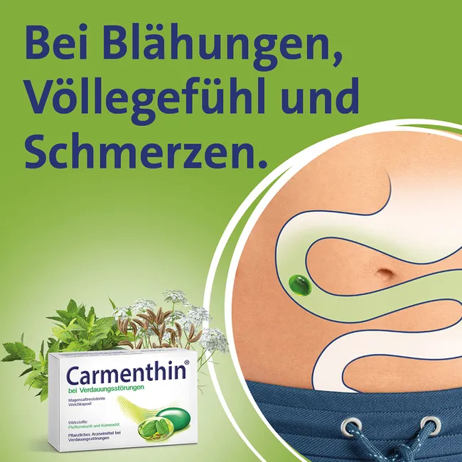 Carmenthin® bei Verdauungsstörungen Carmenthin® bei Verdauungsstörungen
