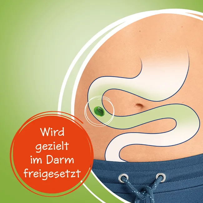 Carmenthin® bei Verdauungsstörungen Carmenthin® bei Verdauungsstörungen