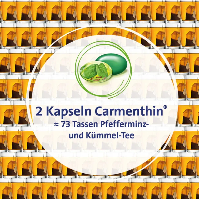 Carmenthin® bei Verdauungsstörungen Carmenthin® bei Verdauungsstörungen
