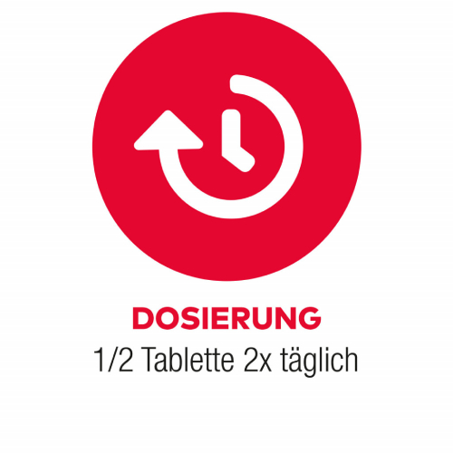Ginkgo AL 240 mg Filmtabletten bei altersbedingten Gedächtniseinbußen mit leichter Demenz Ginkgo AL 240 mg Filmtabletten bei altersbedingten Gedächtniseinbußen mit leichter Demenz