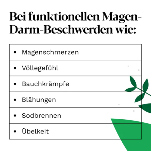 IBEROGAST Classic Flüssigkeit zum Einnehmen IBEROGAST Classic Flüssigkeit zum Einnehmen